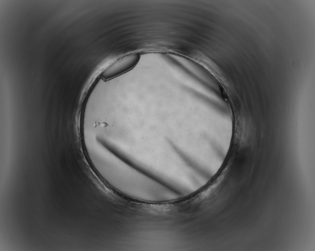 X0000086891196200705071216