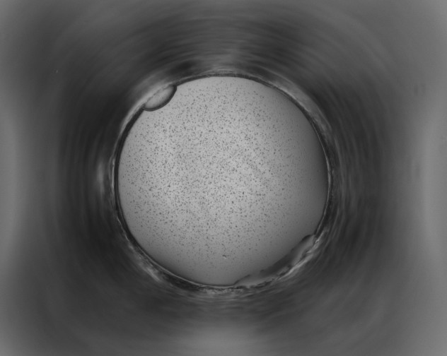 X0000086891198200705071216