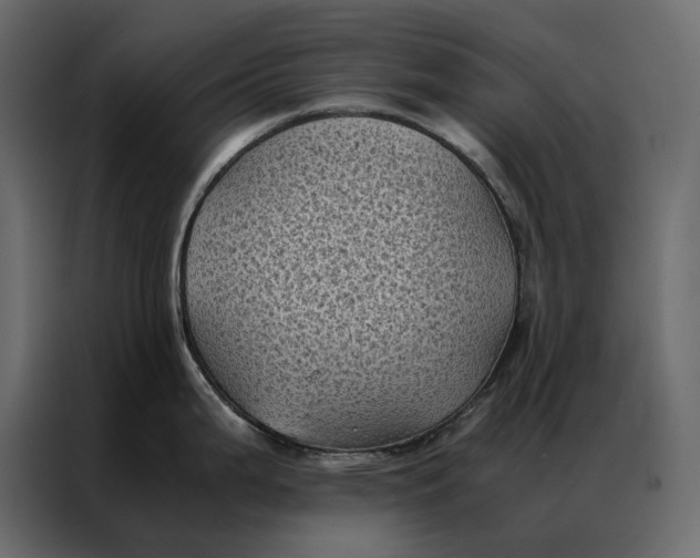 X0000086891199200705071216