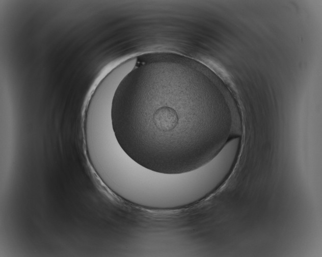 X0000086891200200705071216