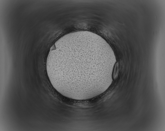 X0000086891201200705071216