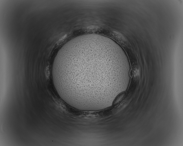 X0000086891204200705071216