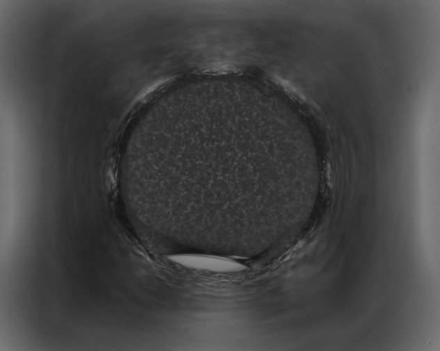 X0000086891206200705071216