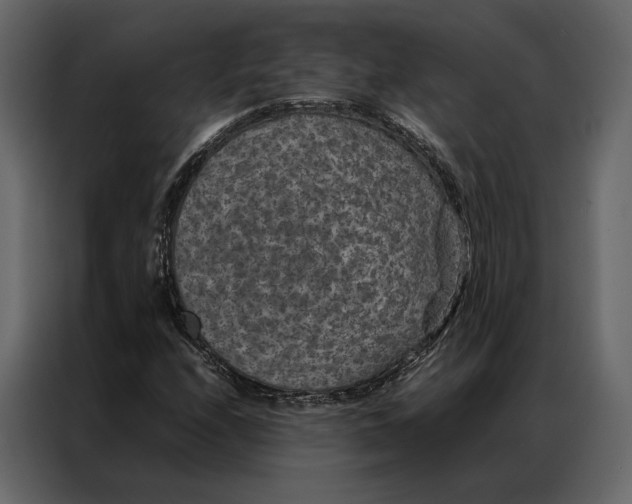 X0000086891208200705071216