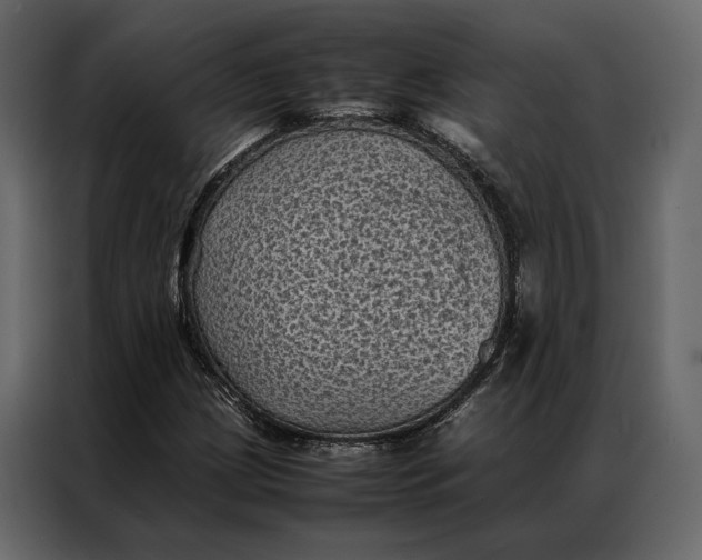 X0000086891209200705071216