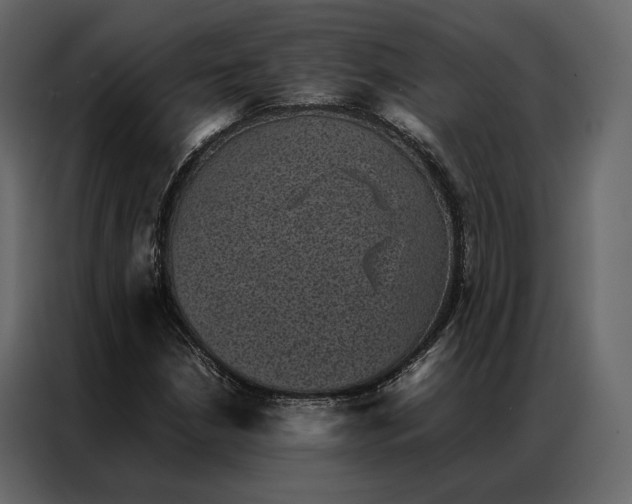 X0000086891210200705071216