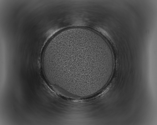 X0000086891212200705071216