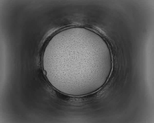 X0000086891215200705071216