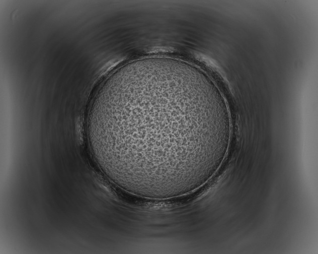 X0000086891217200705071216