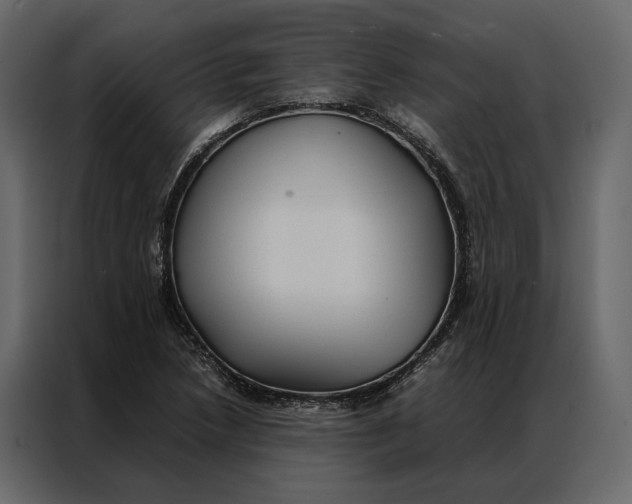 X0000086891218200705071216