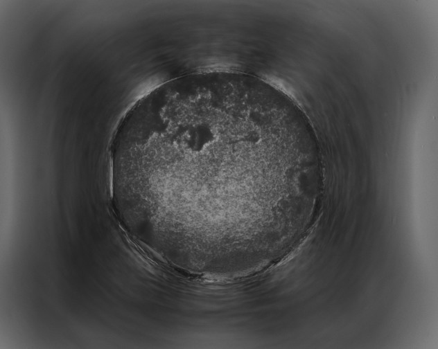 X0000086891219200705071216