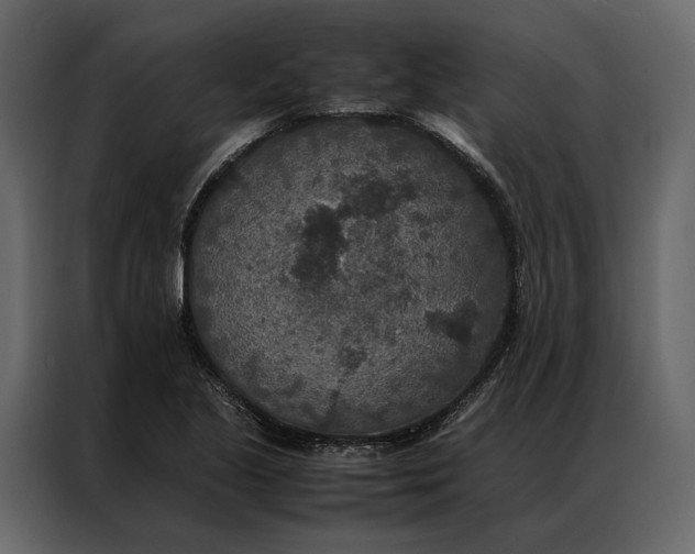 X0000086891221200705071216