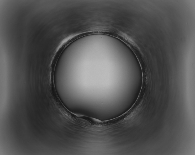 X0000086891222200705071216