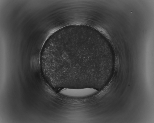 X0000086891226200705071216