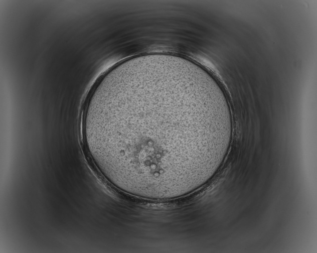 X0000086891227200705071216