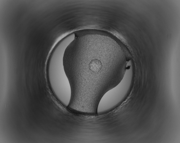 X0000086891230200705071216