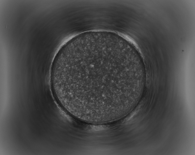 X0000086891231200705071216