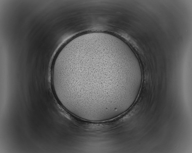 X0000086891232200705071216