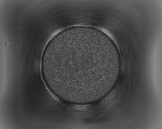 X0000086891237200705071216