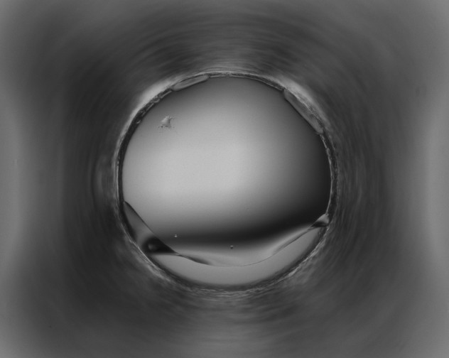 X0000086891238200705071216