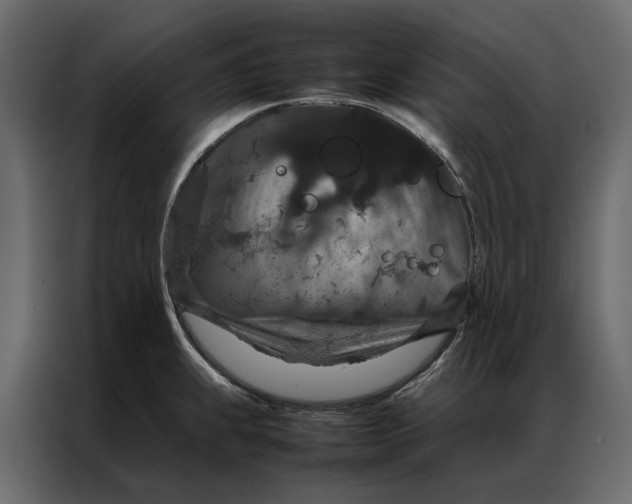 X0000086891239200705071216