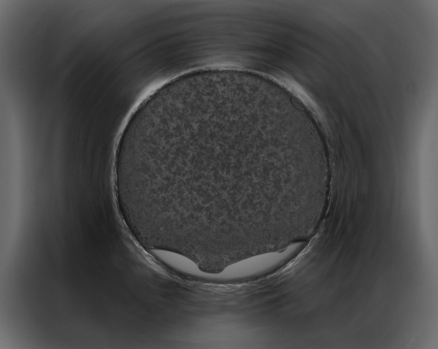 X0000086891240200705071216