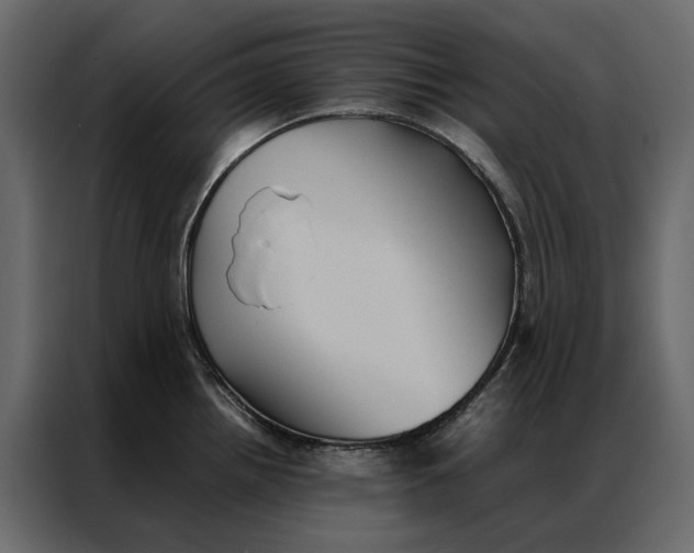 X0000086891242200705071216