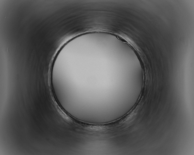 X0000086891246200705071216