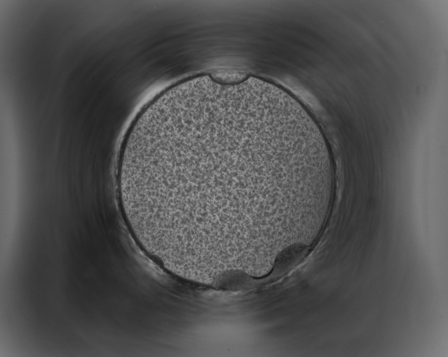 X0000086891248200705071216