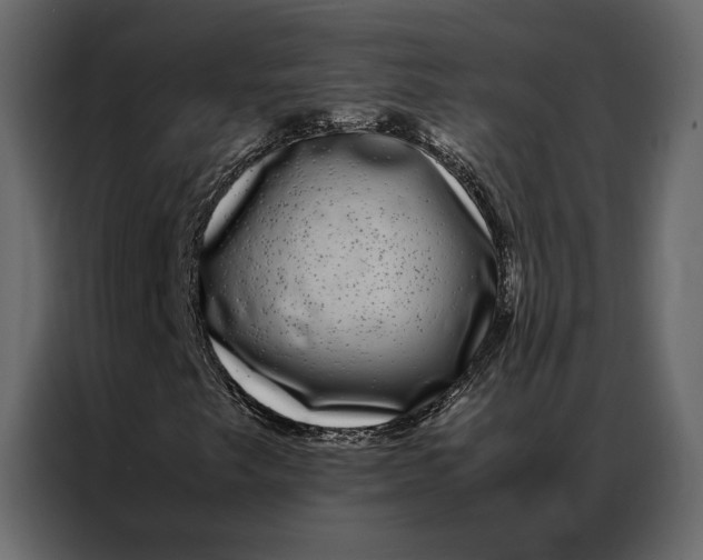 X0000086891249200705071216