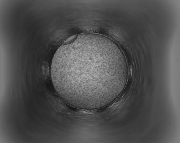 X0000086891251200705071215