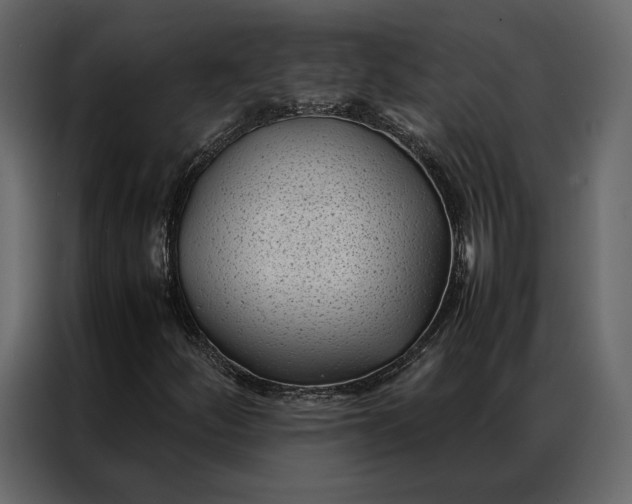 X0000086891252200705071215