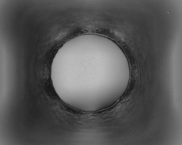 X0000086891253200705071215