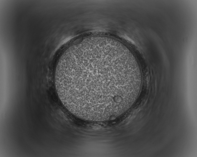 X0000086891255200705071215