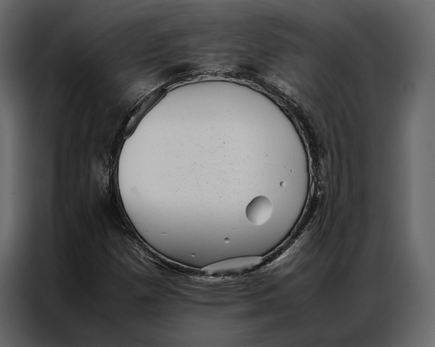 X0000086891257200705071215