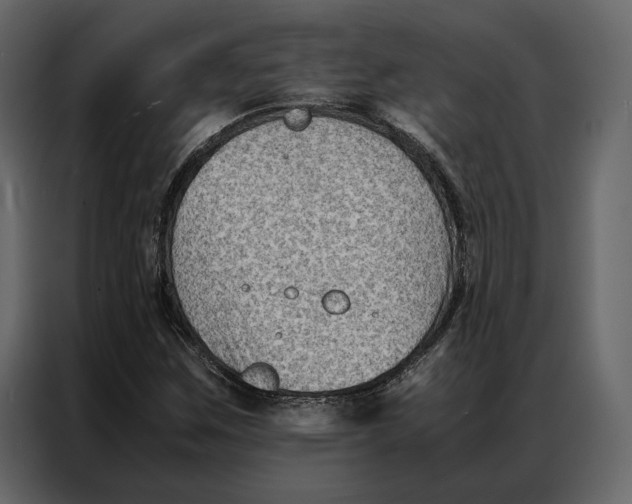 X0000086891259200705071215