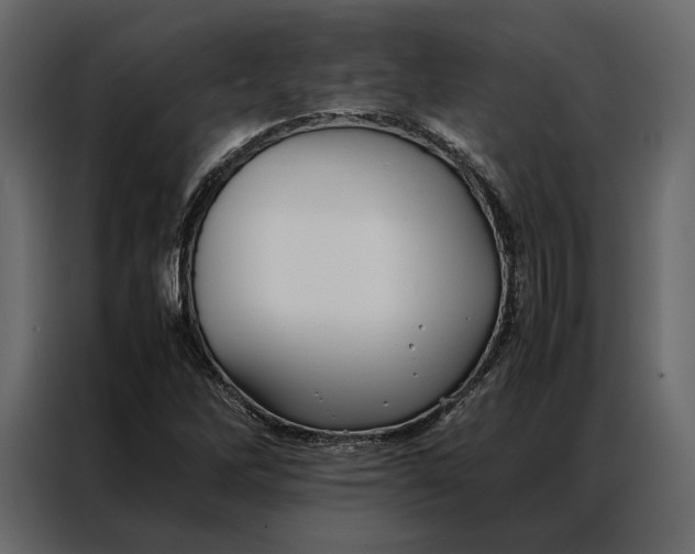 X0000086891262200705071215