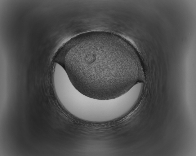 X0000086891263200705071215