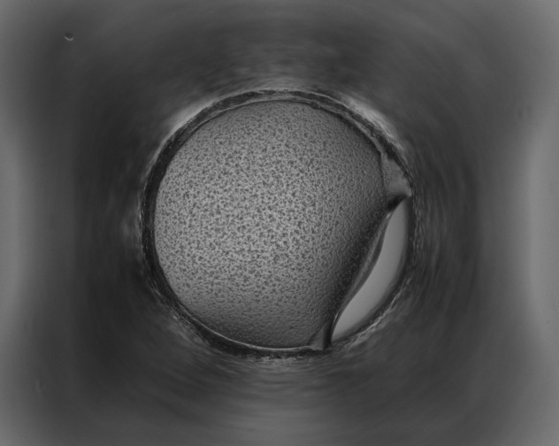 X0000086891264200705071215