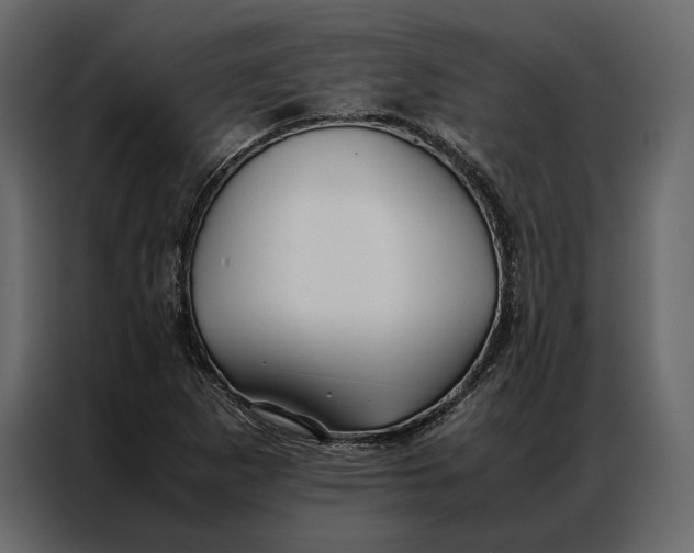 X0000086891265200705071215