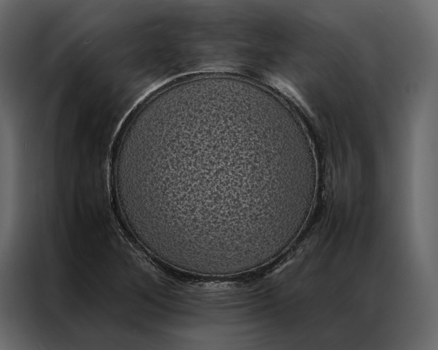 X0000086891268200705071215