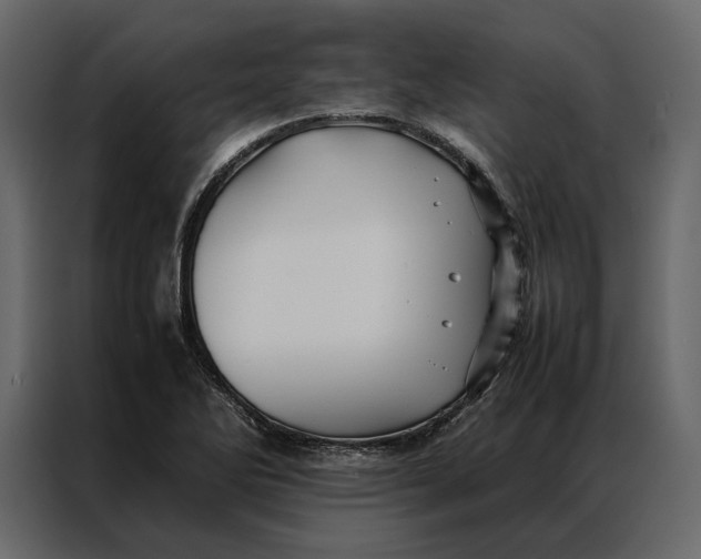 X0000086891270200705071215