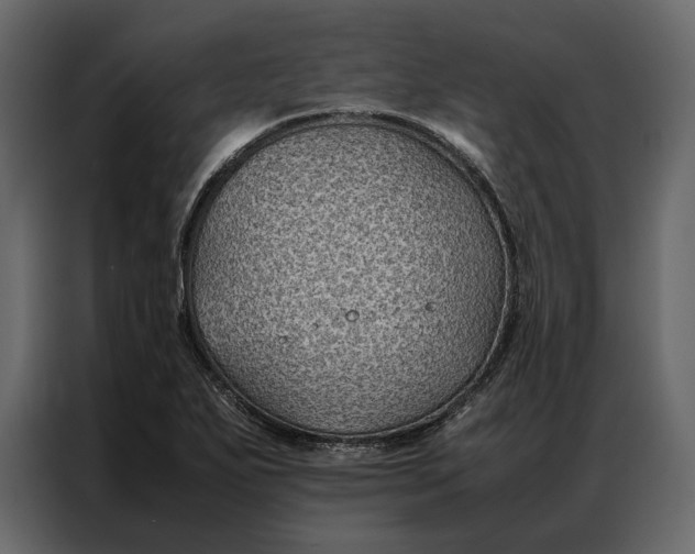 X0000086891271200705071215