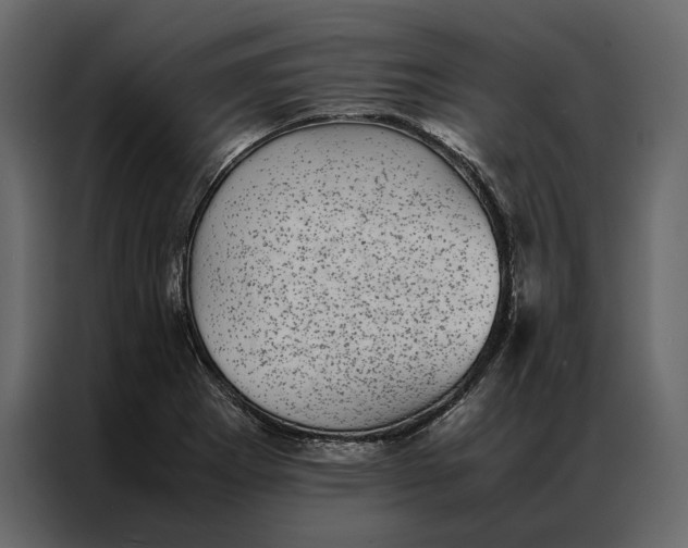 X0000086891273200705071215