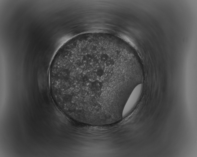 X0000086891275200705071215