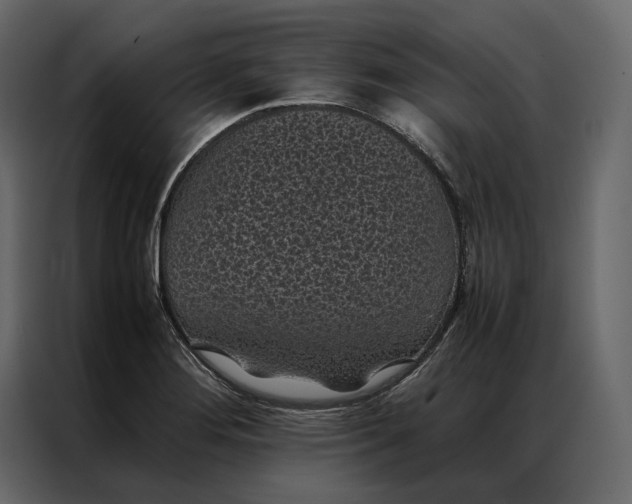 X0000086891276200705071215