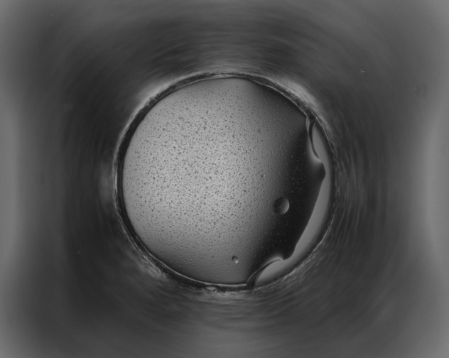 X0000086891280200705071215