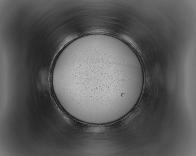 X0000086891282200705071215