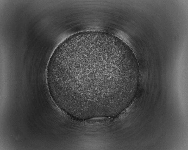 X0000086891283200705071215