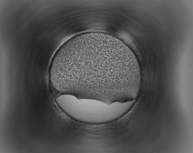 X0000086891284200705071215